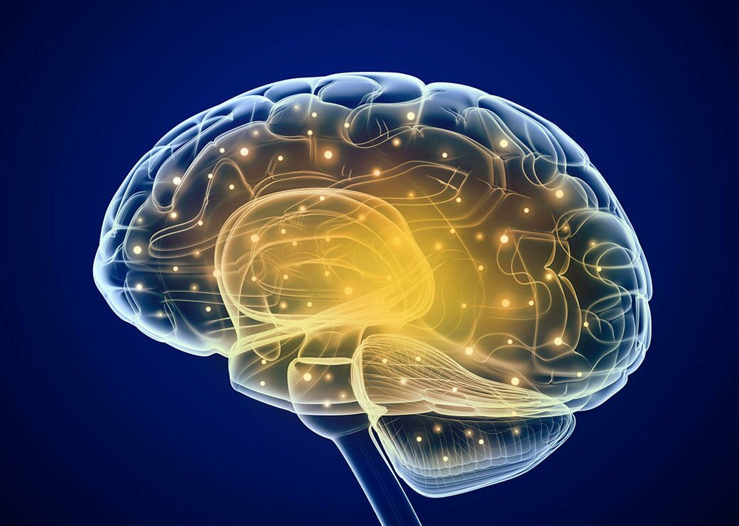 Les connections du cerveau © Alexandr Mitiuc - Fotolia